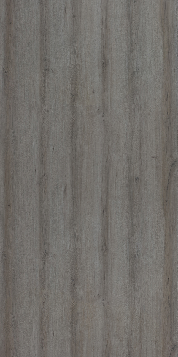 Cornhusk Oak
