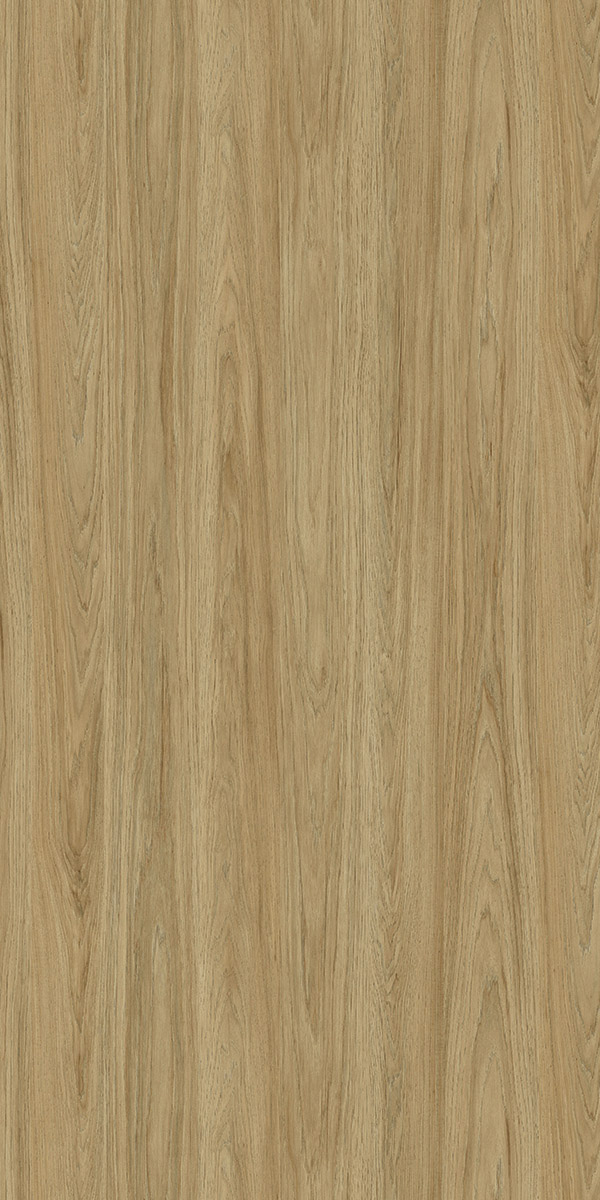 Salween Oak
