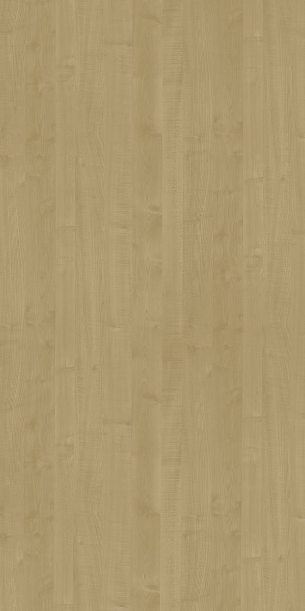Asian Maple