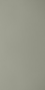 266-Ash-Grey-SUD